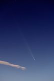 D85_4251_002.jpg