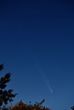 D85_4413_001s.jpg