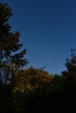 D85_4417_002s.jpg
