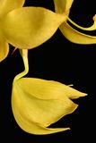 D85_5239_010s.jpg
