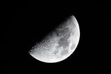 D85_5297_001s.jpg