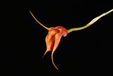 D85_5357_003s.jpg