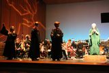 IMG_4479.jpg