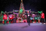 IMG_5056.jpg