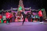 IMG_5062.jpg