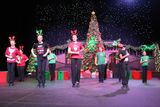 IMG_5096.jpg