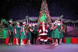 IMG_5129.jpg