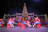 IMG_5222.jpg