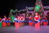 IMG_5230.jpg