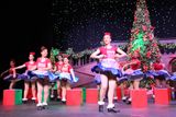 IMG_5240.jpg