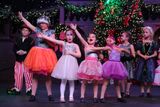 IMG_5272.jpg