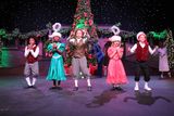 IMG_5319.jpg