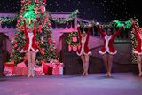 IMG_5397.jpg