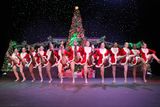 IMG_5414.jpg