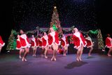 IMG_5416.jpg