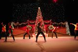 IMG_5449.jpg