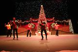 IMG_5450.jpg
