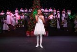 IMG_5584.jpg