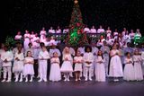 IMG_5603.jpg