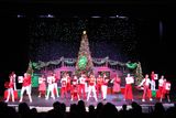 IMG_5667.jpg