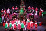 IMG_5678.jpg