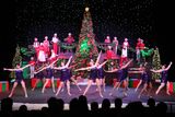 IMG_5713.jpg