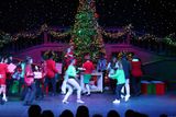 IMG_5753.jpg