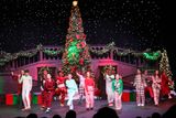 IMG_5880.jpg