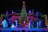 IMG_5911.jpg
