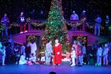 IMG_5919.jpg