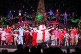IMG_5950.jpg