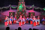 IMG_5960.jpg