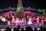 IMG_6002.jpg