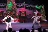 IMG_6015.jpg