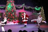 IMG_6016.jpg
