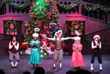 IMG_6040.jpg
