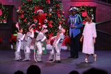 IMG_6047.jpg