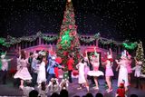 IMG_6070.jpg