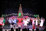 IMG_6072.jpg