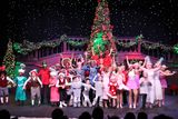 IMG_6073.jpg