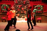 IMG_6146.jpg