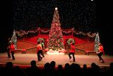 IMG_6148.jpg