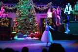 IMG_6197.jpg
