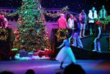 IMG_6198.jpg