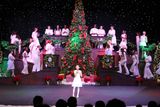 IMG_6264.jpg