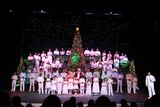 IMG_6292.jpg
