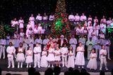 IMG_6294.jpg