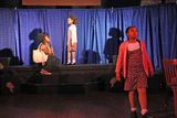 IMG_7335.jpg