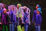 IMG_7674.jpg