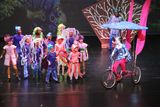 IMG_7961.jpg